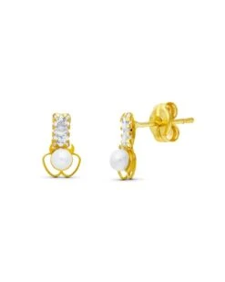 Pendientes De Oro 18 Kilates PM-15959