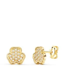 Pendientes De Oro 18 Kilates PM-N5679-5AP