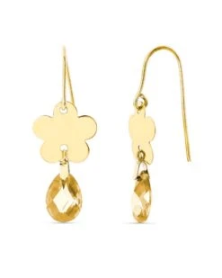 Pendientes De Oro 18k PM-15255-TO