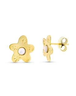 Pendientes De Oro 18k PM-11537