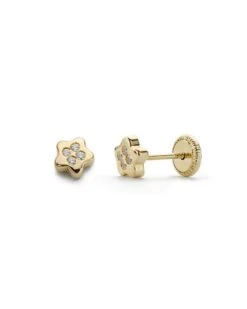 Pendientes De Oro 18k Estrella PM-15644