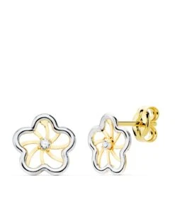 Pendientes De Oro De 18k PM-18980