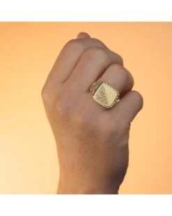 Sello De Oro Amarillo De 18k PM-P4160 -FALOMIR Tienda de ventas sello de oro amarillo de 18k 12