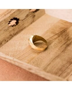 Sello De Oro Amarillo De 18k PM-19189 -FALOMIR Tienda de ventas sello de oro amarillo de 18k 123