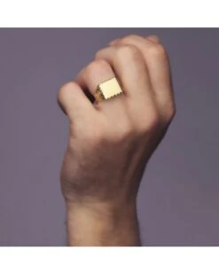 Sello De Oro Amarillo De 18k PM-P4215 8 Sello De Oro Amarillo De 18k PM-P4215 -FALOMIR Tienda de ventas sello de oro amarillo de 18k 129