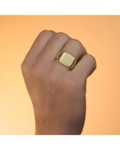 Sello De Oro Amarillo De 18k PM-24000367 -FALOMIR Tienda de ventas sello de oro amarillo de 18k 26