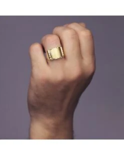 Sello De Oro Amarillo De 18k PM-P4220 -FALOMIR Tienda de ventas sello de oro amarillo de 18k 58