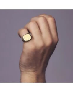 Sello De Oro Amarillo De 18k PM-P4250 -FALOMIR Tienda de ventas sello de oro amarillo de 18k 67