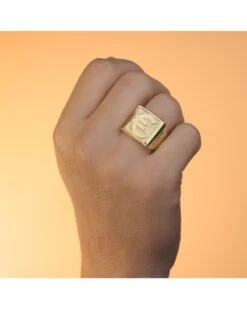 Sello De Oro Amarillo De 18k PM-24000342 -FALOMIR Tienda de ventas sello de oro amarillo de 18k 82