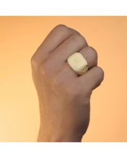 Sello De Oro Amarillo De 18k PM-P4163 -FALOMIR Tienda de ventas sello de oro amarillo de 18k 87